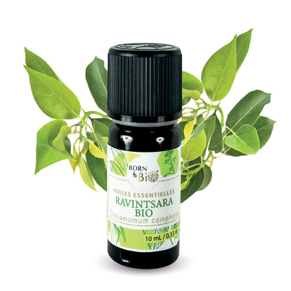 Huile essentielle Ravintsara Certifiée Bio